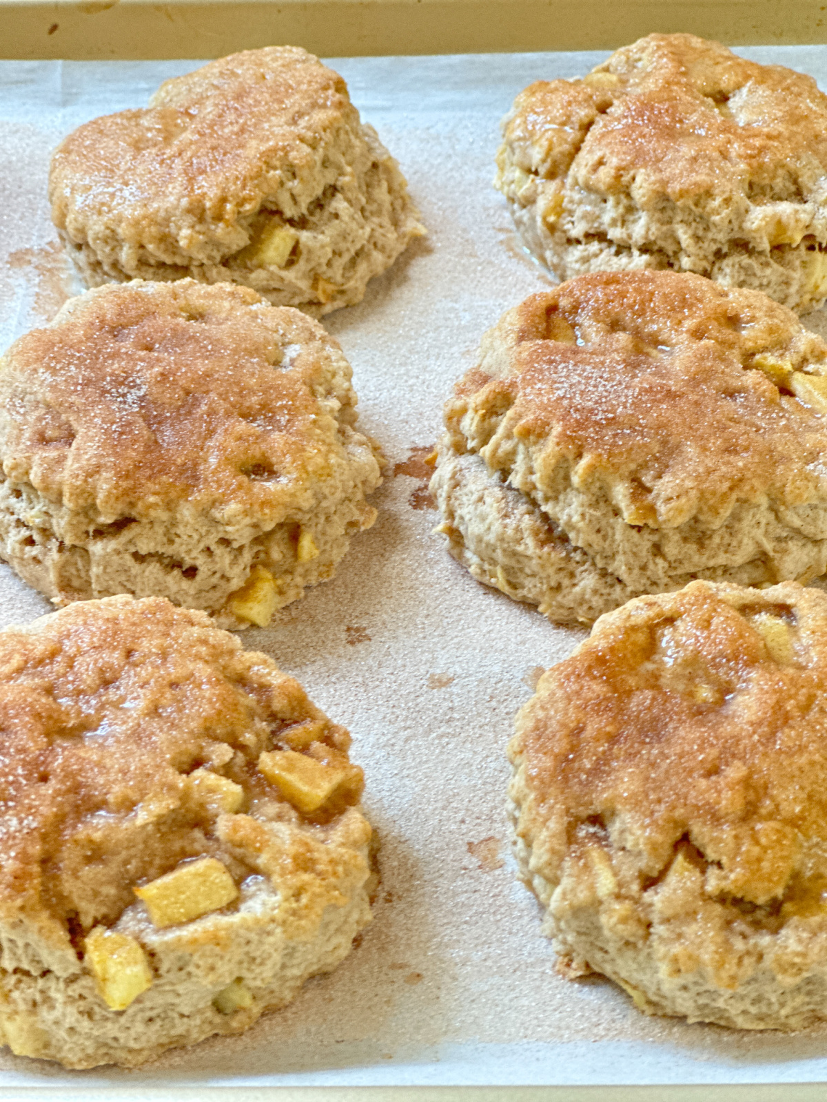 Tray of just backed Apple Cinnamon Scones.