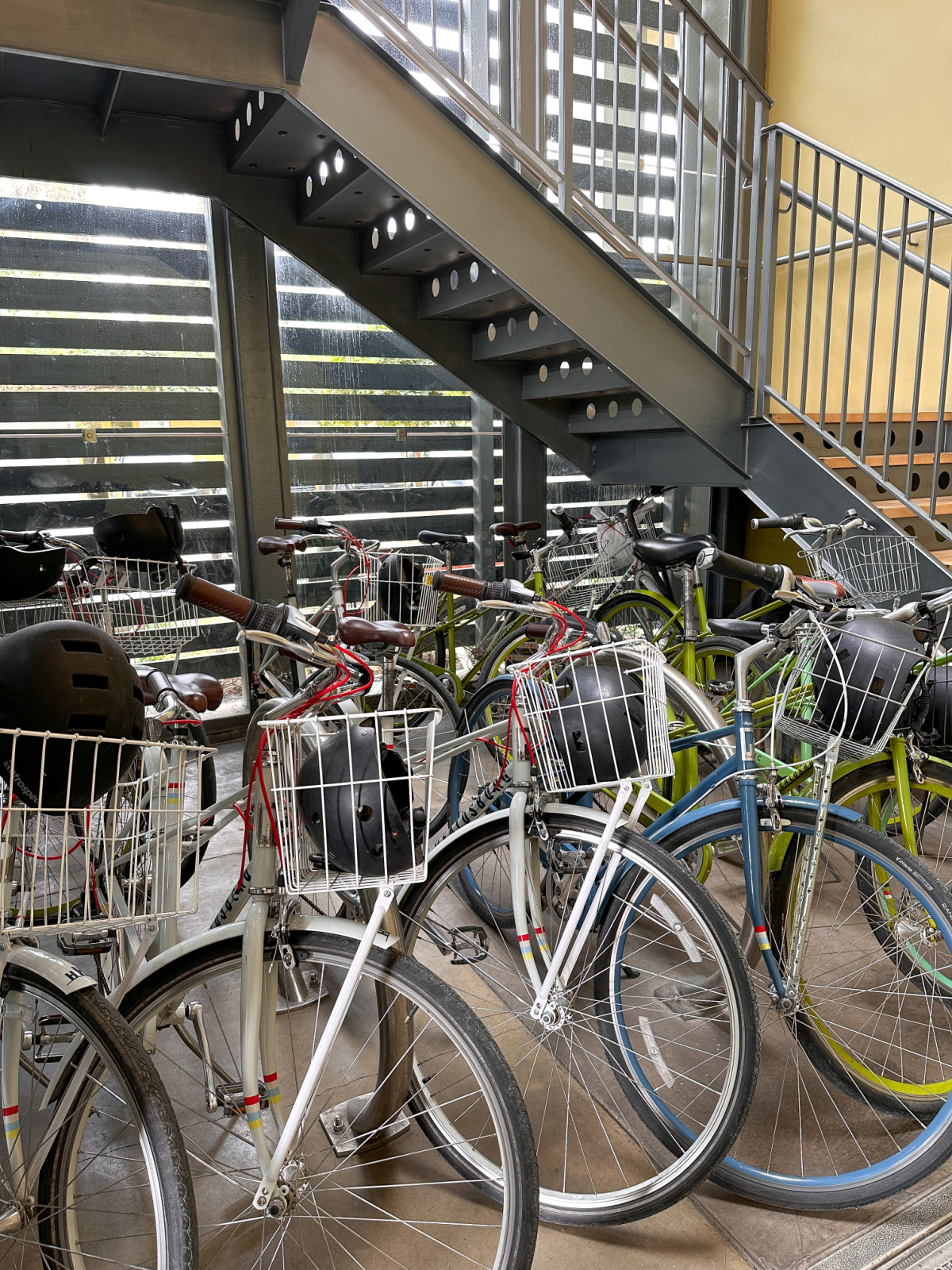 Bikes for rent at Hotel Healdsburg.