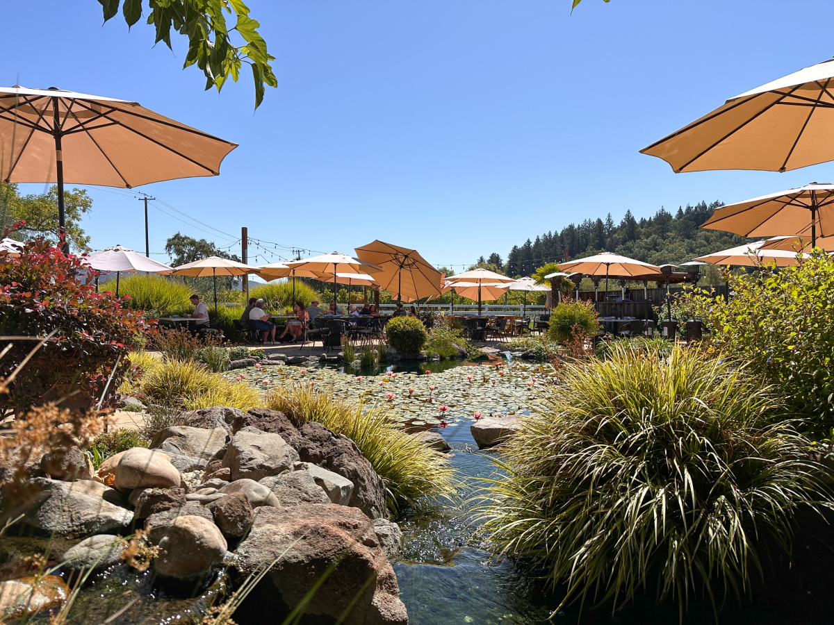 Salt & Stone Kenwood restaurant patio.