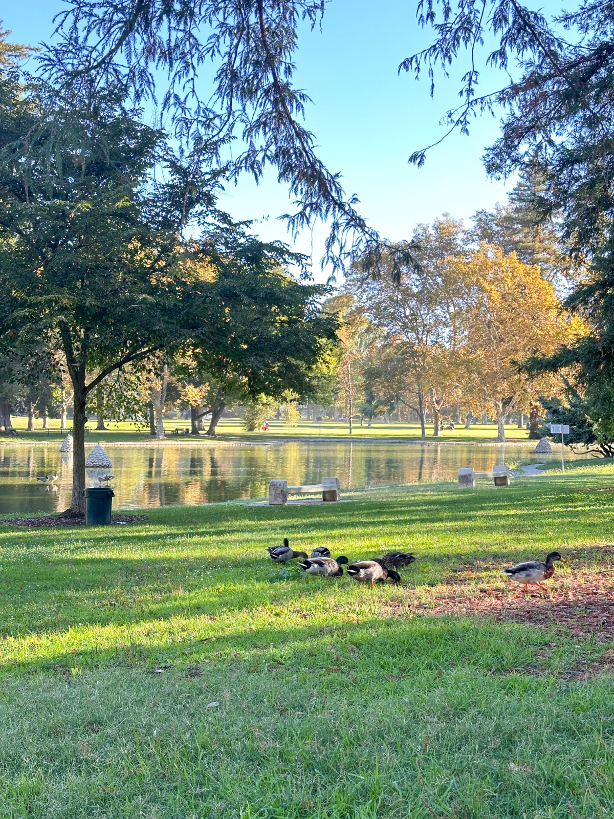 William Land Regional Park.