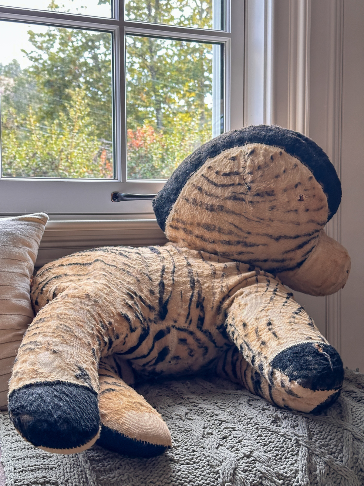 Old stuffed zebra.