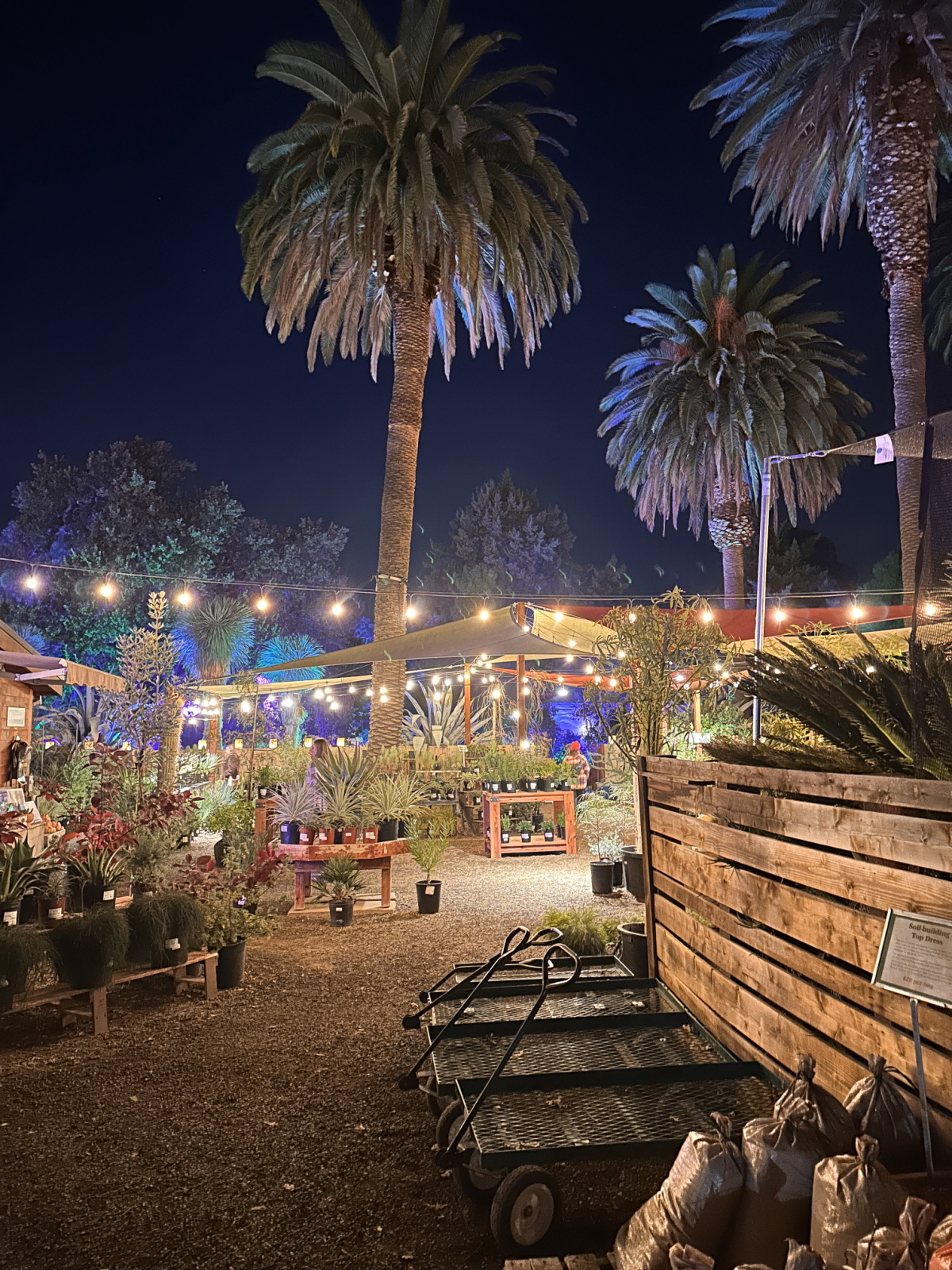 Ruth Bancroft Gardens nursery at night.
