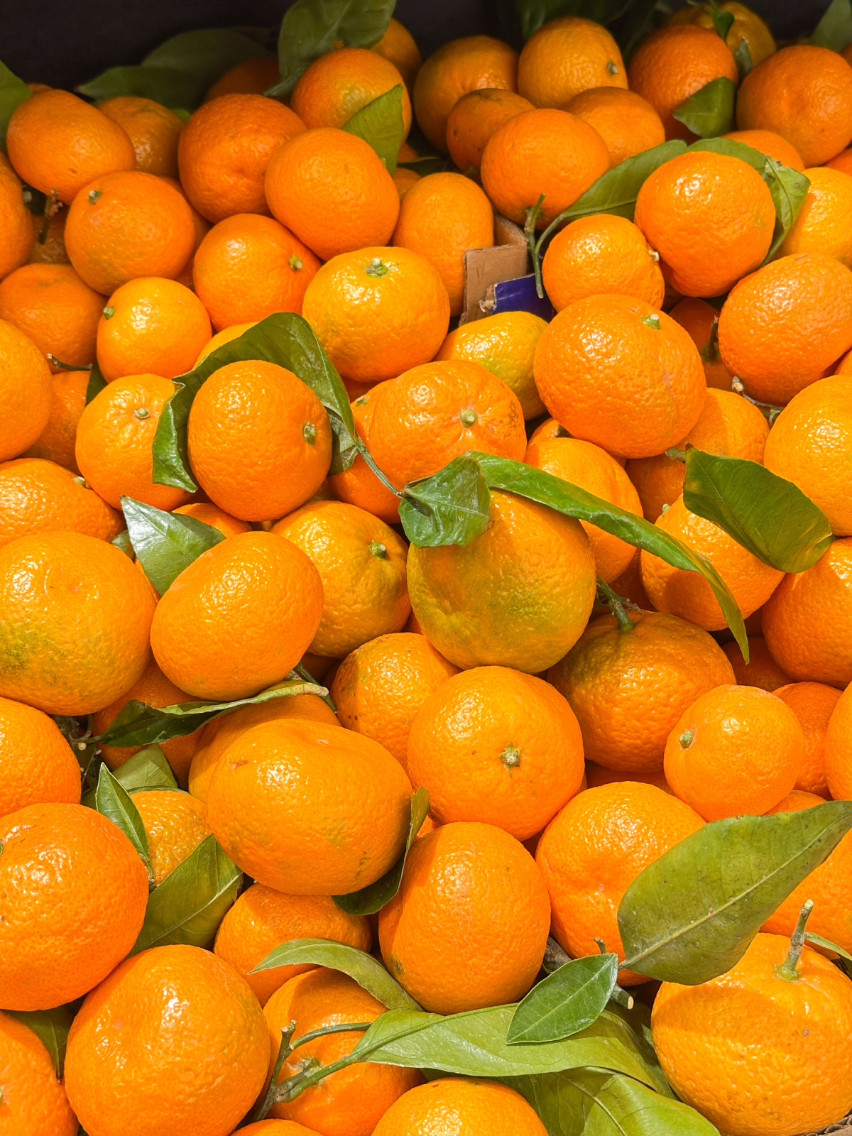 Mandarins