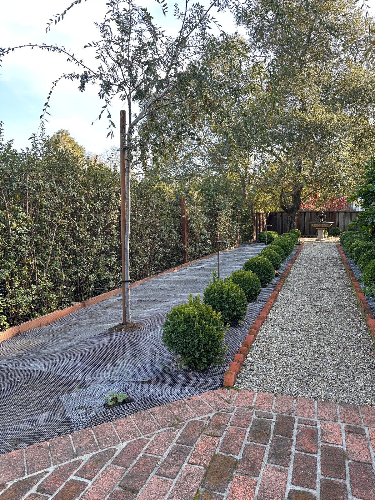 Gopher wire laid out in planting bed.