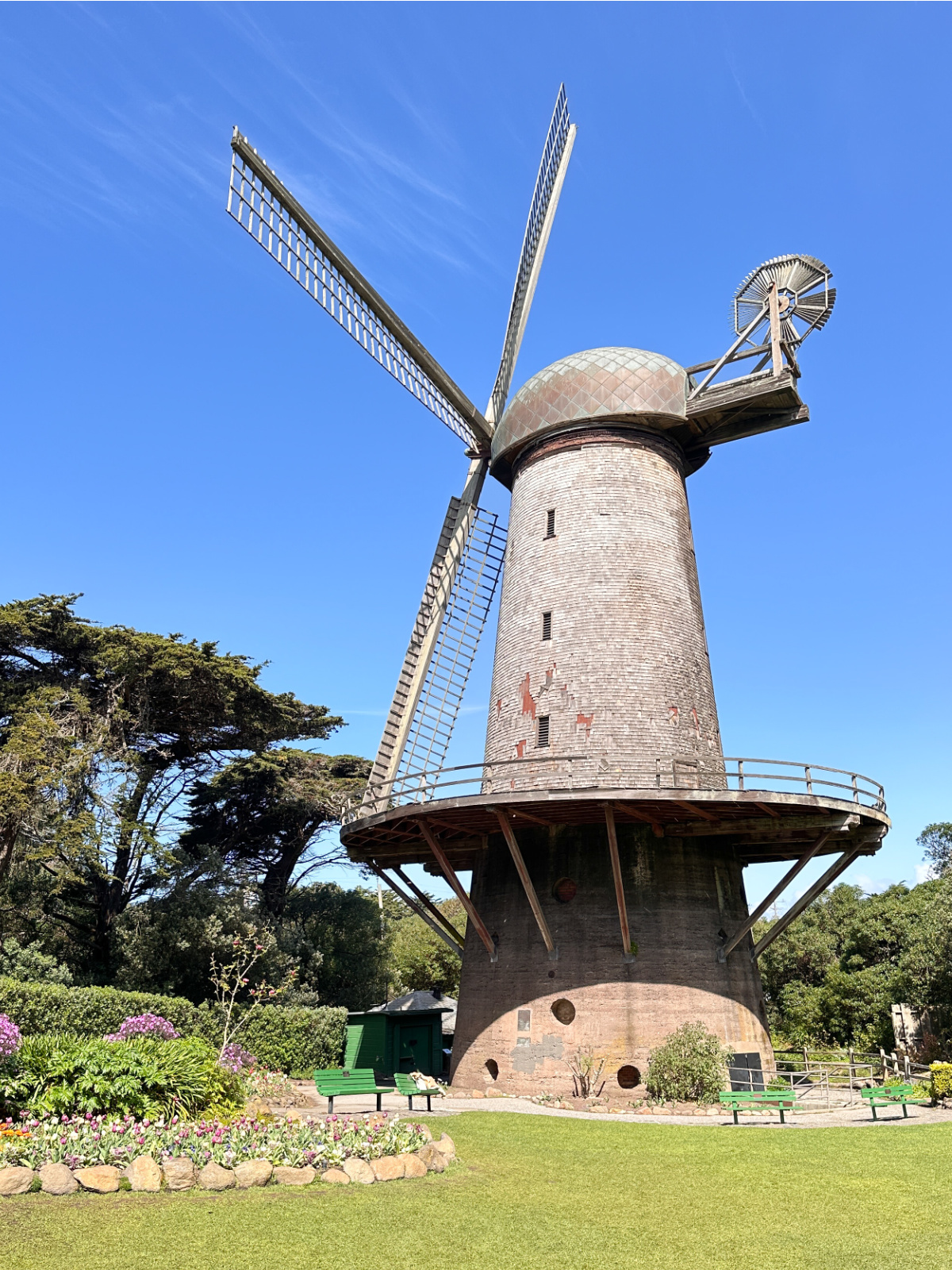 Queen Wilhelmina tulip garden windmill.