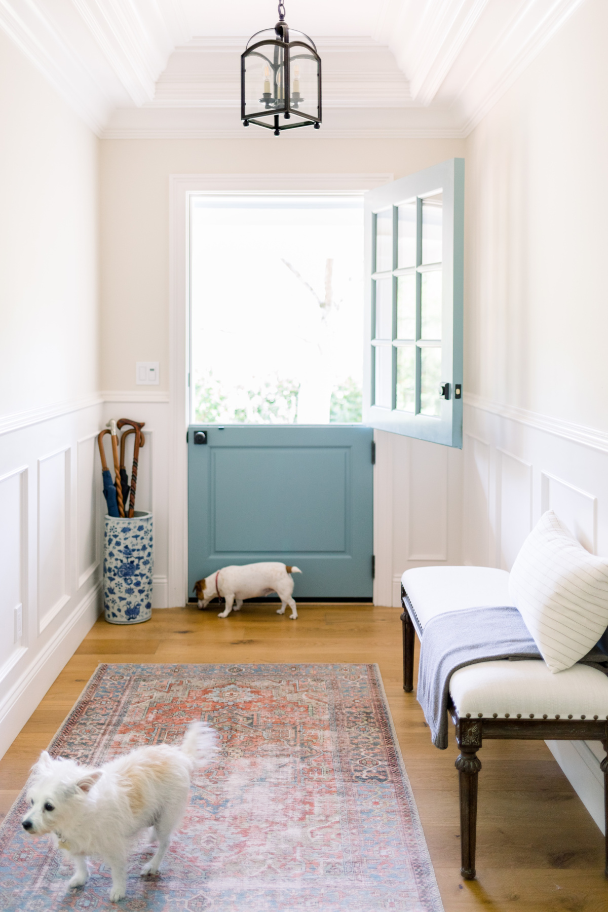 Two little dogs in foyer.