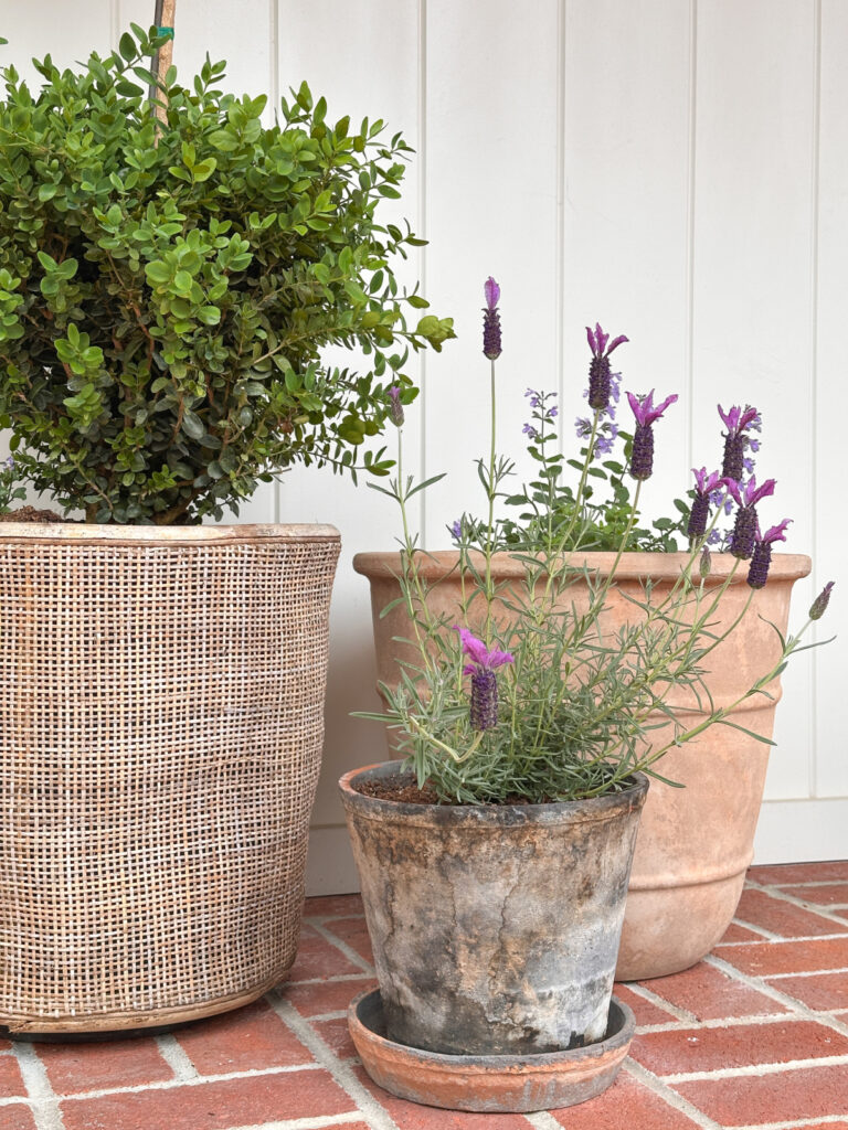 Mother’s Day Weekend This & That