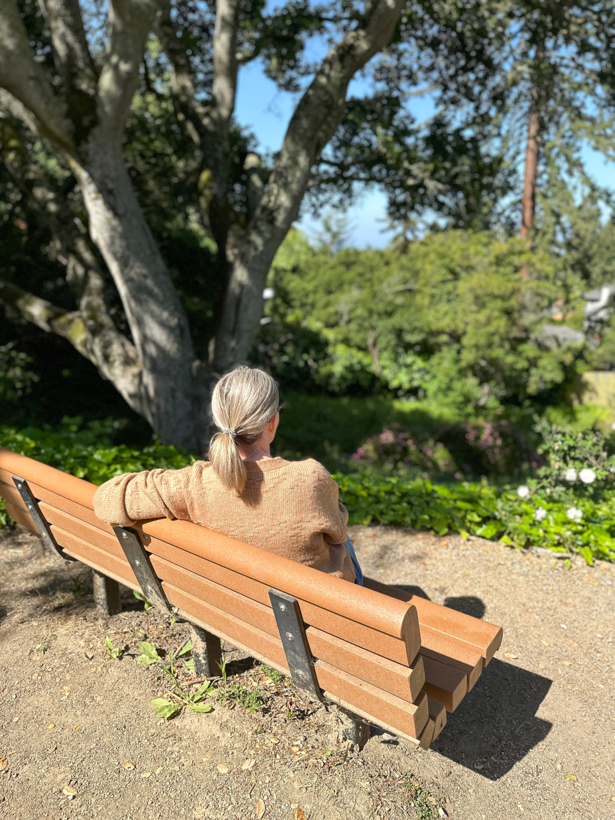 Woman sitting on park bench at Berkeley Rose Garden.