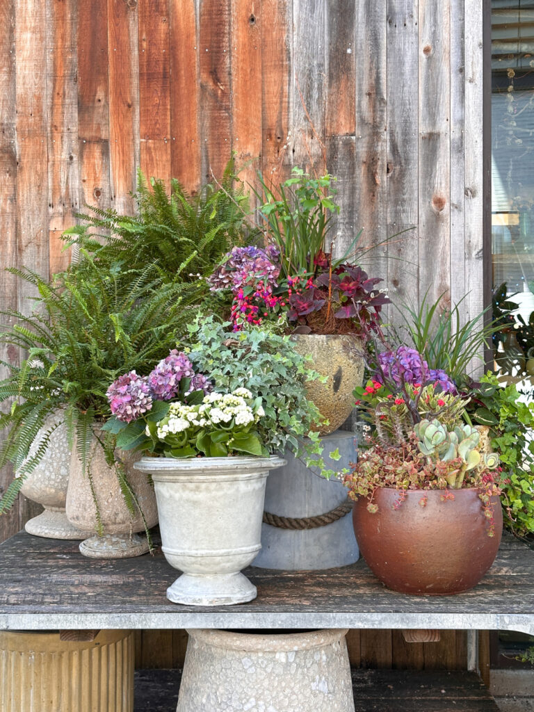 Consignment Furniture Bargains, Summer Essentials for the Closet & Table, Shopping with Kim Pt.2 + Dad Stuff