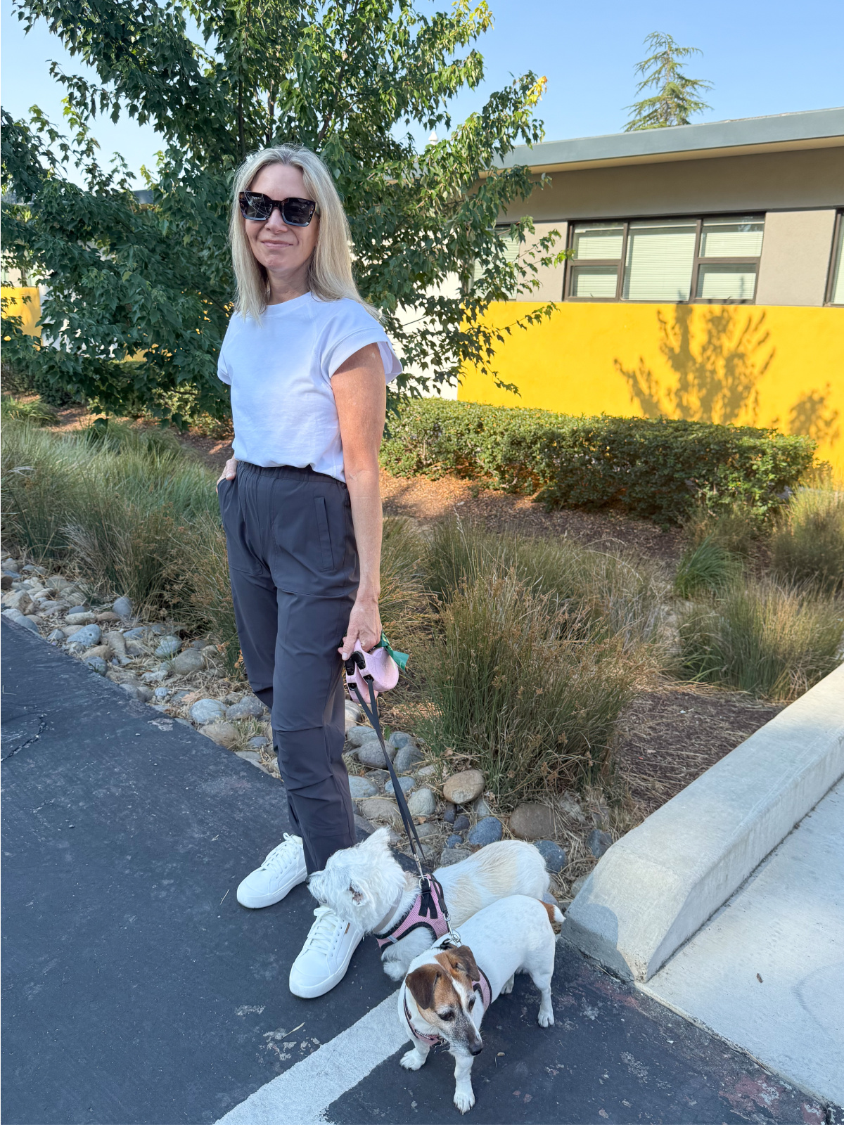 Woman wearing Ruti joggers walking two small dogs.