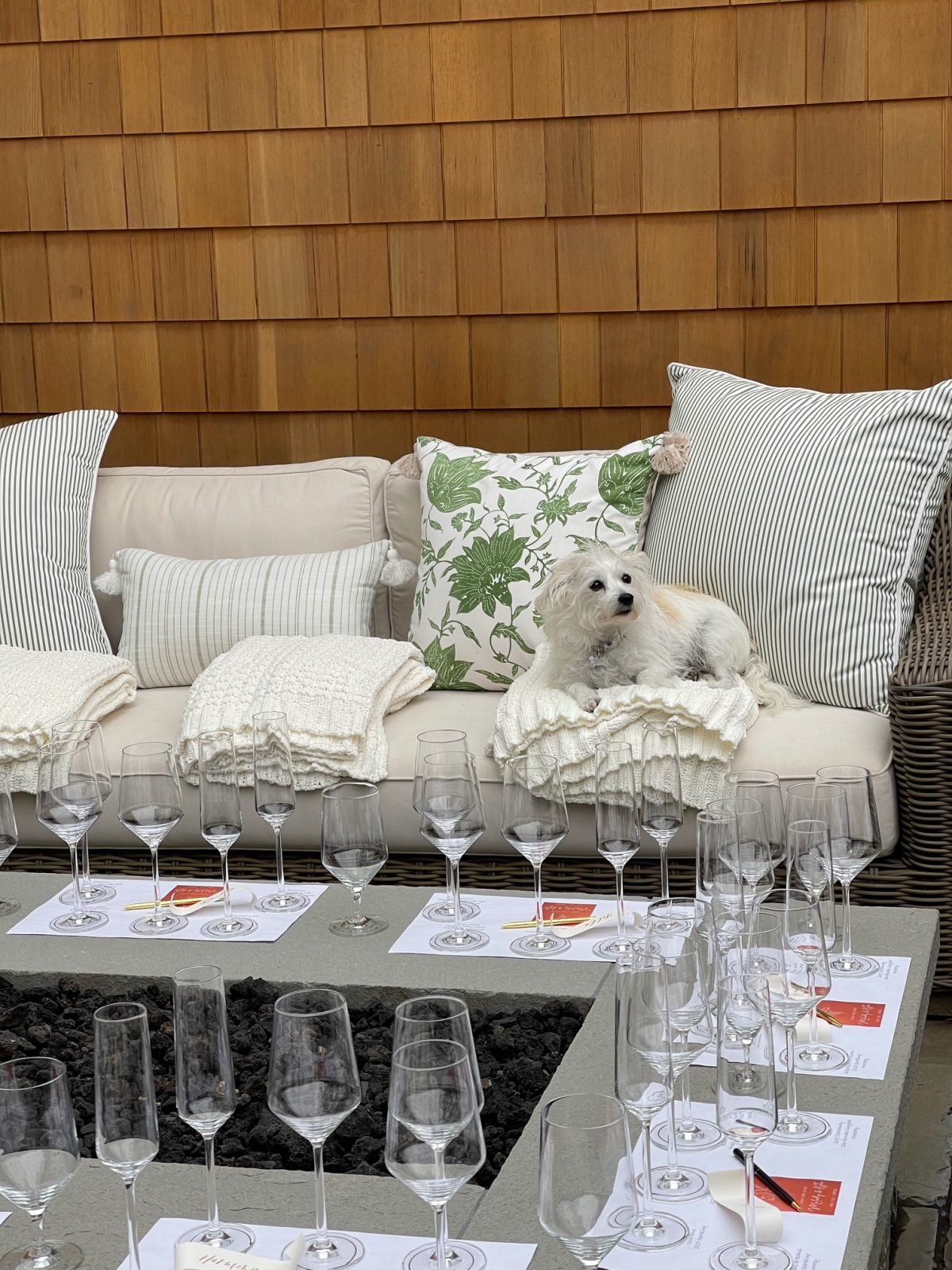 Patio set up for home wine tasting with little white dog on sofa.