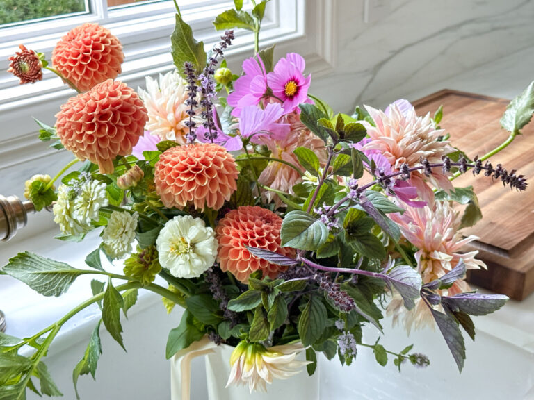 Fresh picked dahlias in sink.