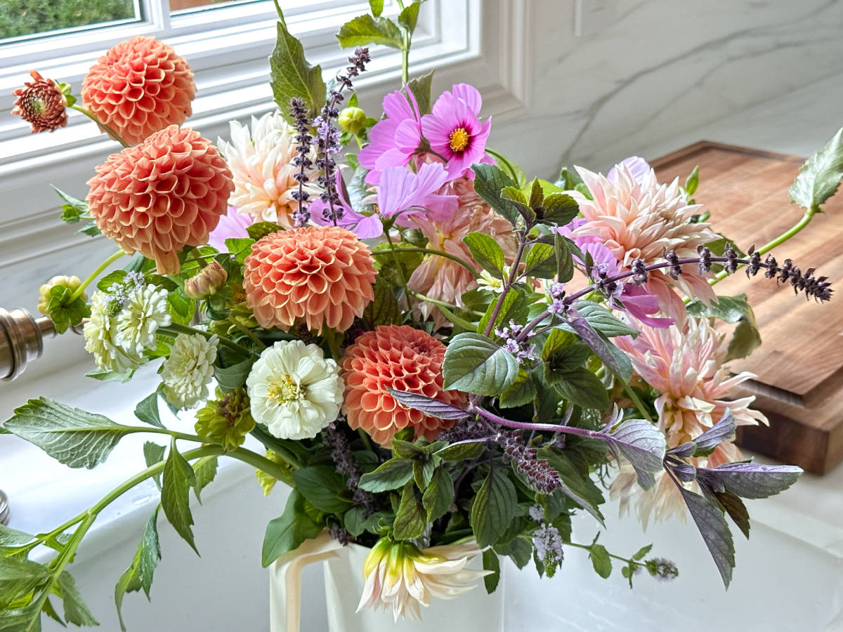 Fresh picked dahlias in sink.