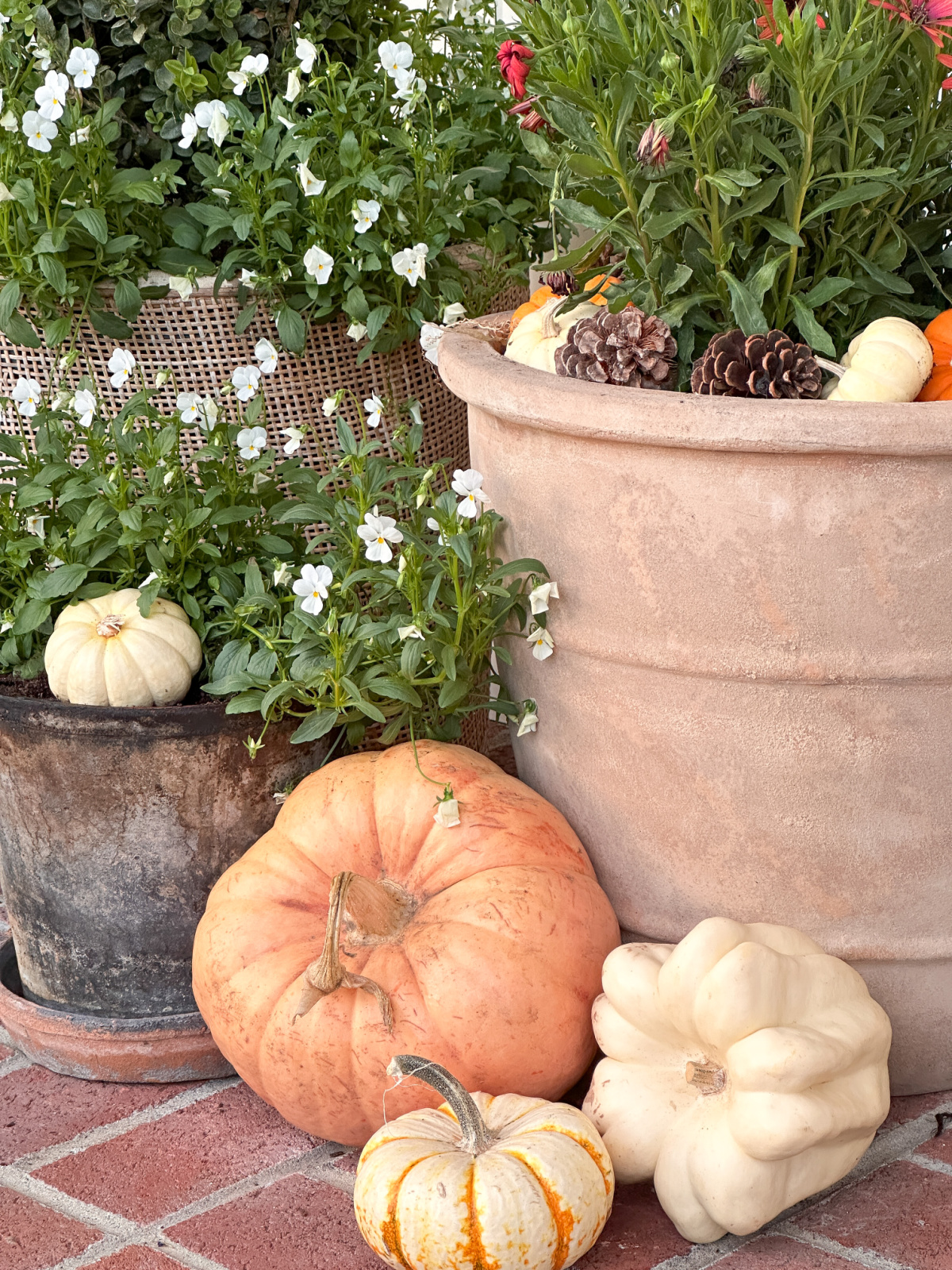 pumpkins next to pots on porch.