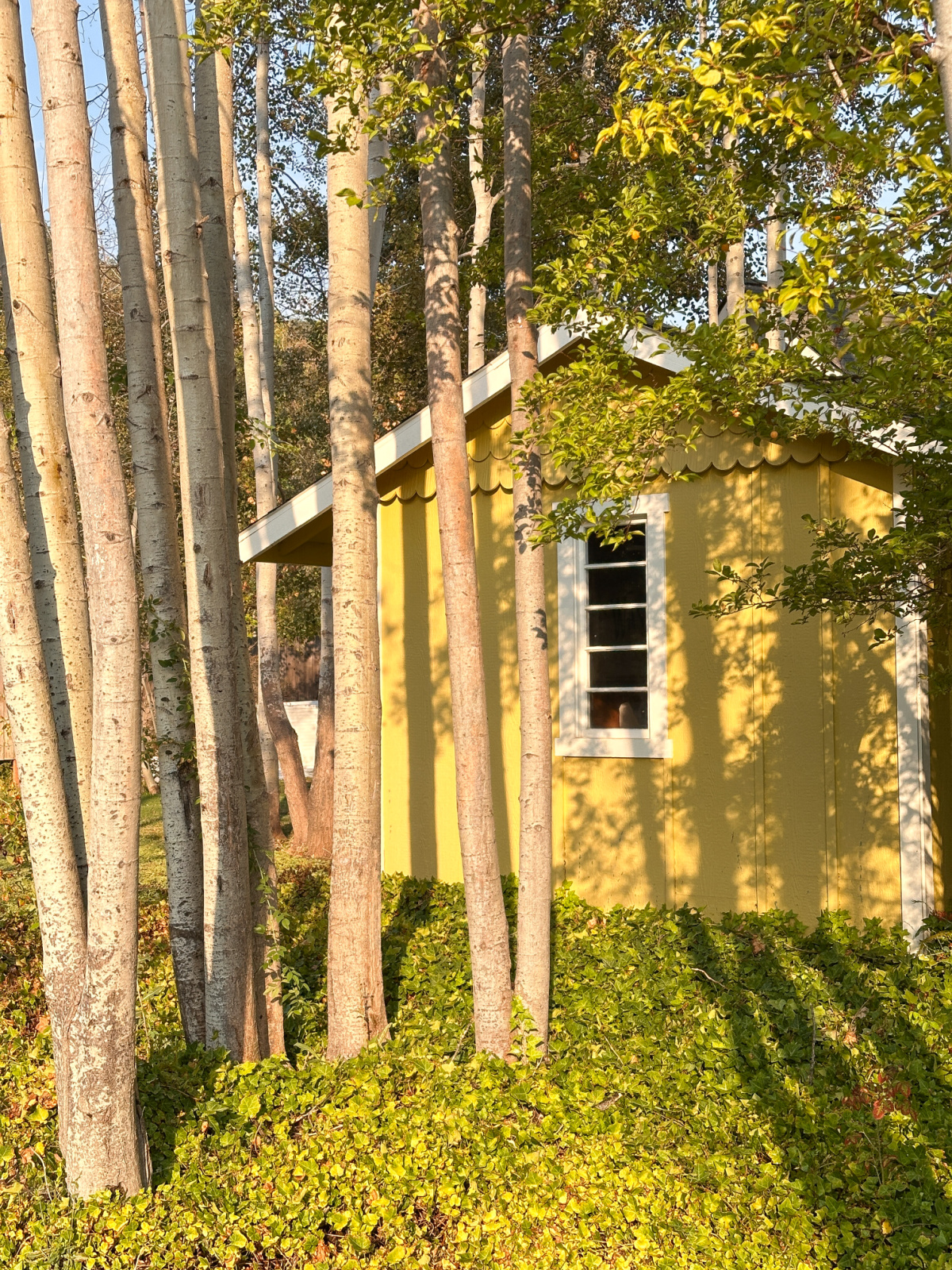 Lithia Springs Resort.