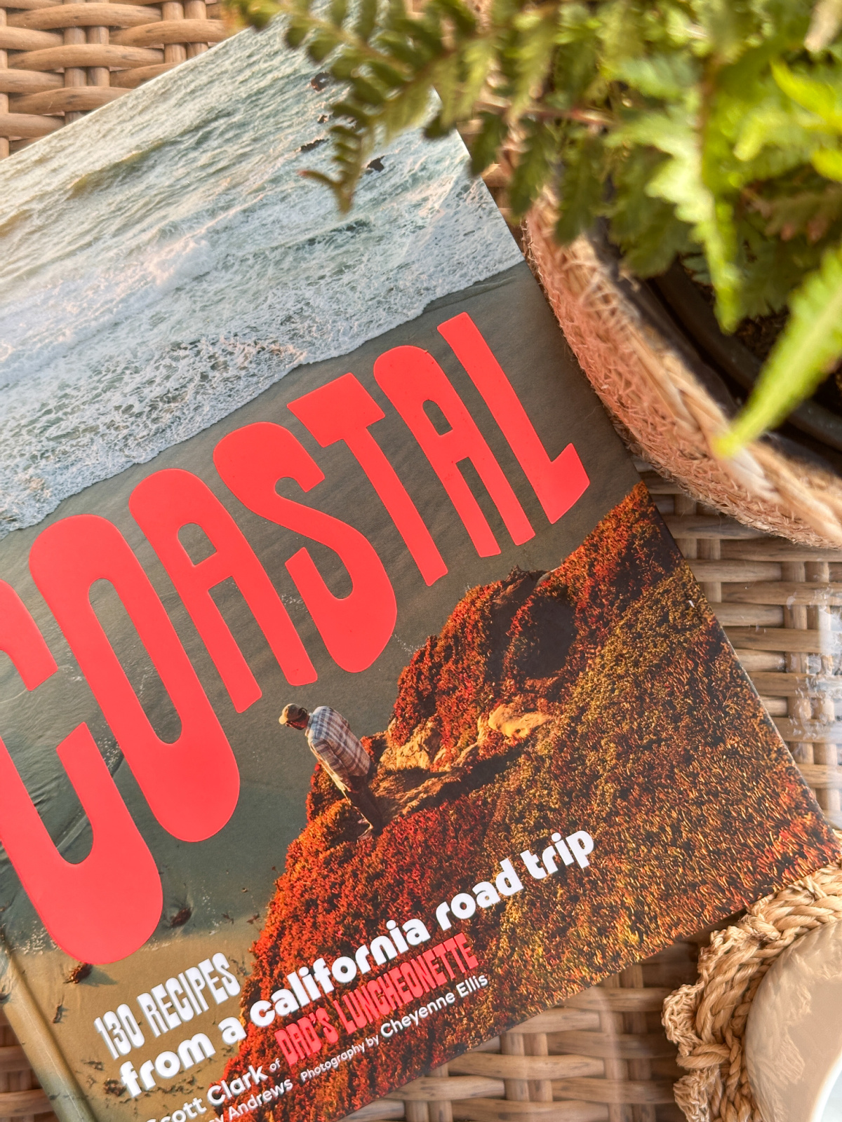 Overhead shot of Coastal cookbook next to fern.