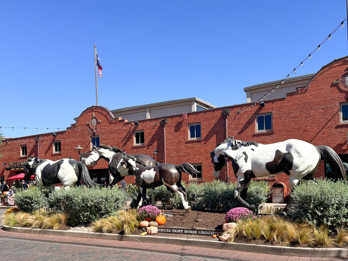 The Stocky in Ft. Worth.