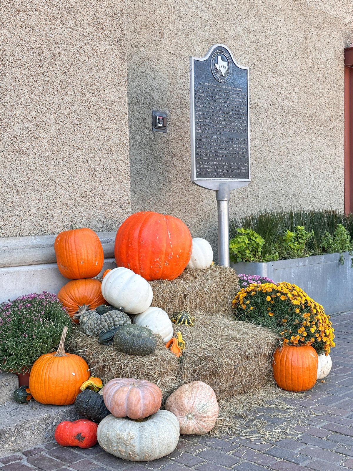 The Stockyards in Ft. Worth.