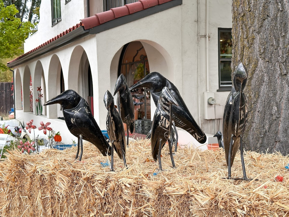 Halloween Crows at Lazy K shop.