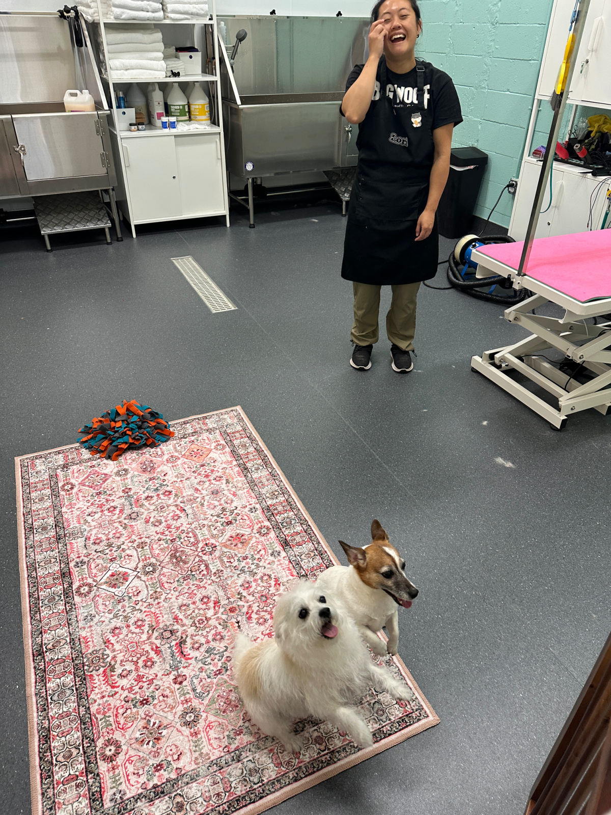 Big Wolf grooming salon.