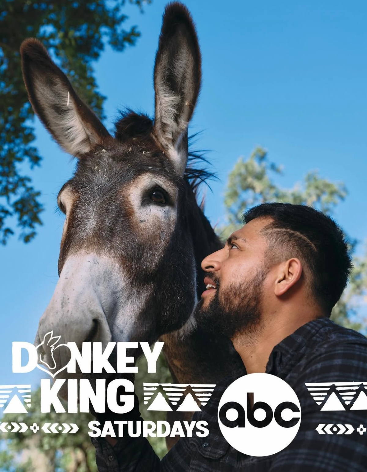 Donkey King on ABC promo poster.