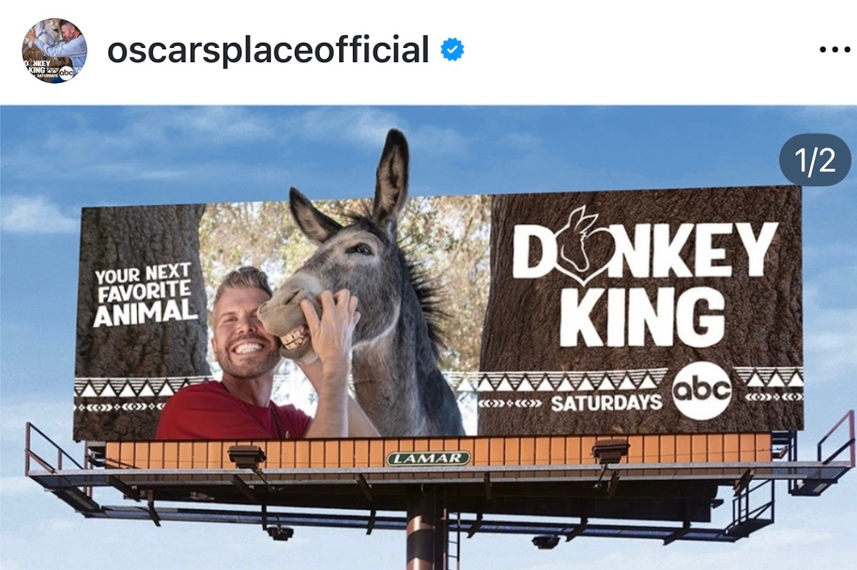 Oscar's Place donkey King.