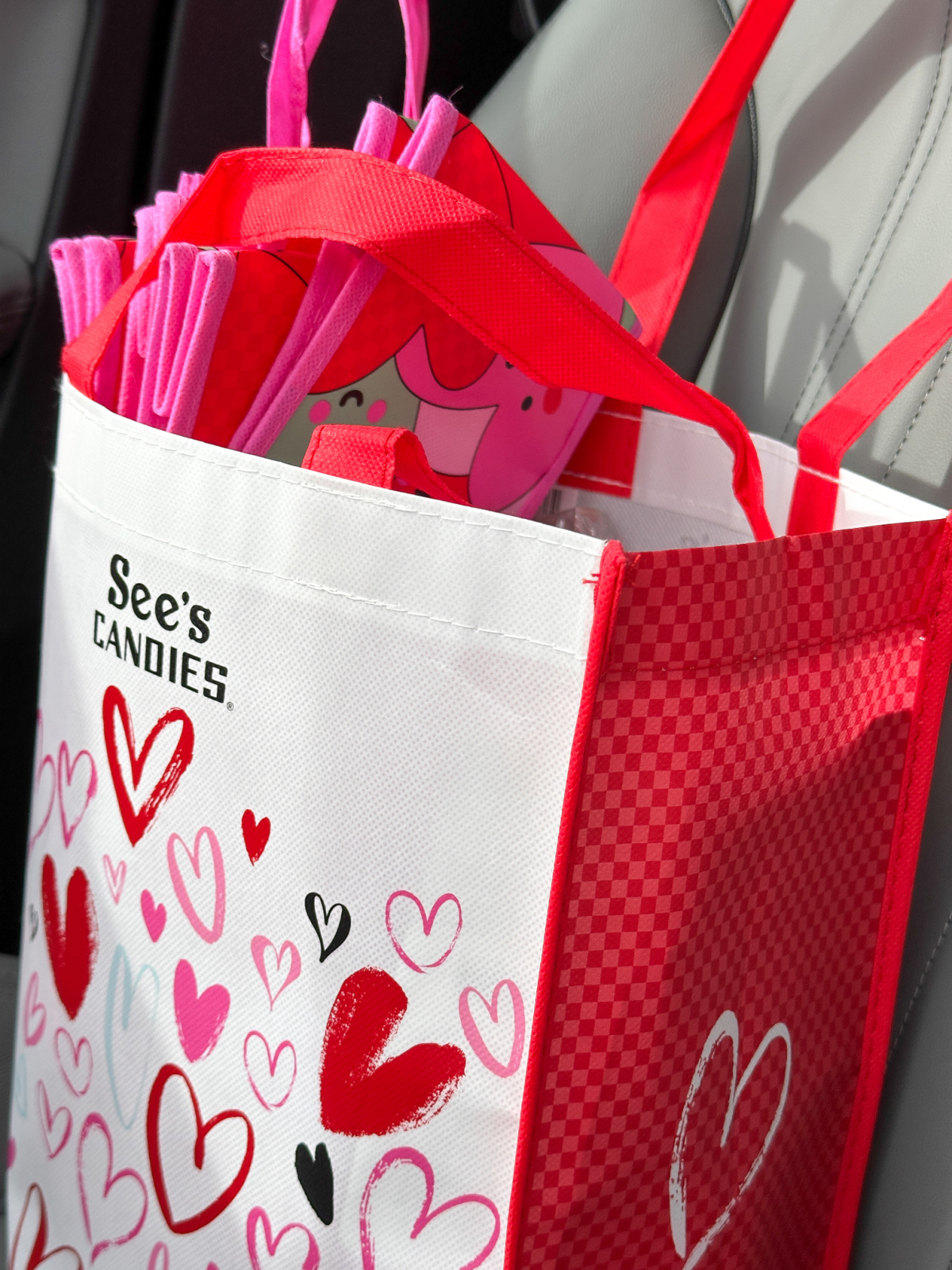 See's Candy Valentine's Day bag.